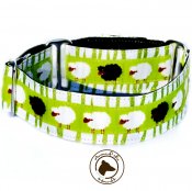 1.5" Black Sheep